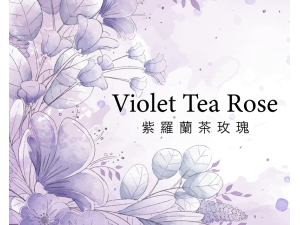 哇吶#10 紫羅蘭茶玫瑰 濾泡茶包 (10包入)