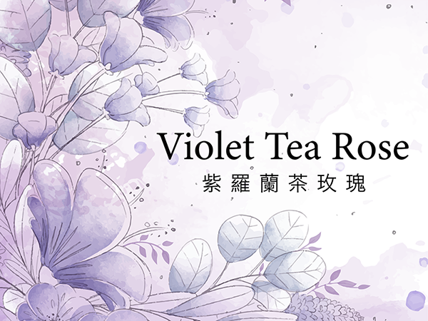 哇吶#10 紫羅蘭茶玫瑰 濾泡茶包 (10包入)